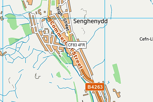CF83 4FR map - OS VectorMap District (Ordnance Survey)