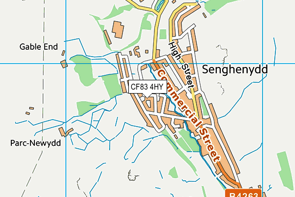 CF83 4HY map - OS VectorMap District (Ordnance Survey) CF83 4HY map - OS VectorMap District (Ordnance Survey)