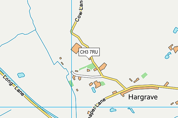 CH3 7RU map - OS VectorMap District (Ordnance Survey) CH3 7RU map - OS VectorMap District (Ordnance Survey)