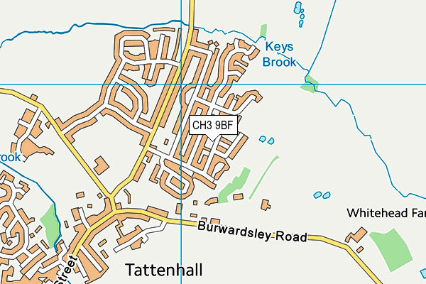CH3 9BF map - OS VectorMap District (Ordnance Survey) CH3 9BF map - OS VectorMap District (Ordnance Survey)