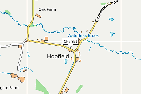 CH3 9BJ map - OS VectorMap District (Ordnance Survey) CH3 9BJ map - OS VectorMap District (Ordnance Survey)