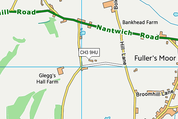 CH3 9HU map - OS VectorMap District (Ordnance Survey) CH3 9HU map - OS VectorMap District (Ordnance Survey)