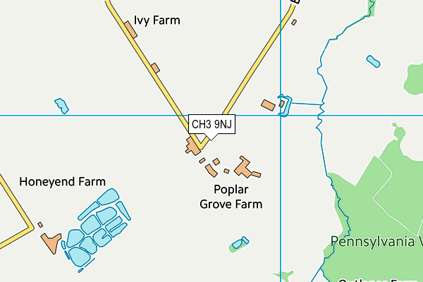 CH3 9NJ map - OS VectorMap District (Ordnance Survey) CH3 9NJ map - OS VectorMap District (Ordnance Survey)