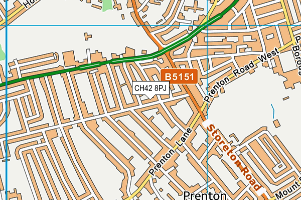 CH42 8PJ map - OS VectorMap District (Ordnance Survey) CH42 8PJ map - OS VectorMap District (Ordnance Survey)