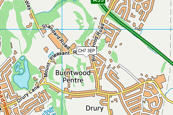 CH7 3EP map - OS VectorMap District (Ordnance Survey) CH7 3EP map - OS VectorMap District (Ordnance Survey)