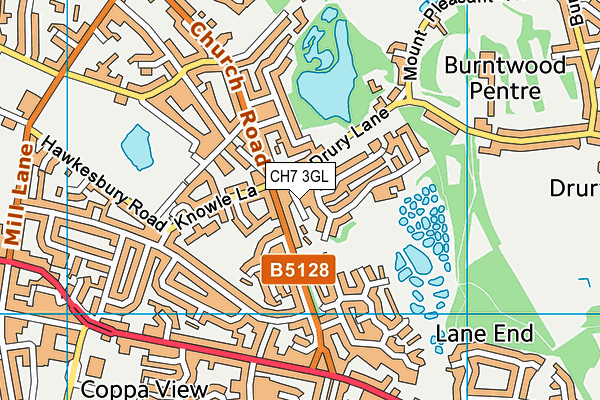 CH7 3GL map - OS VectorMap District (Ordnance Survey) CH7 3GL map - OS VectorMap District (Ordnance Survey)