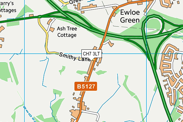 CH7 3LT map - OS VectorMap District (Ordnance Survey) CH7 3LT map - OS VectorMap District (Ordnance Survey)