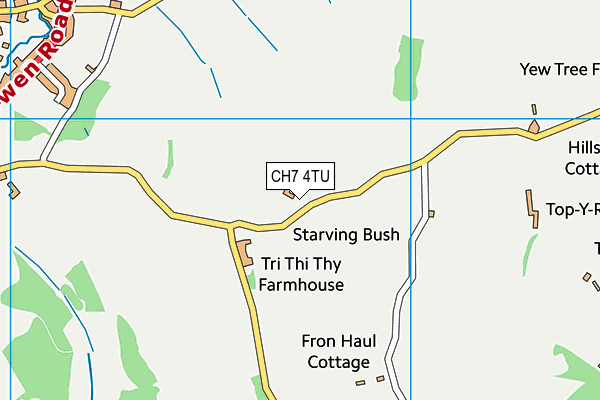 CH7 4TU map - OS VectorMap District (Ordnance Survey)