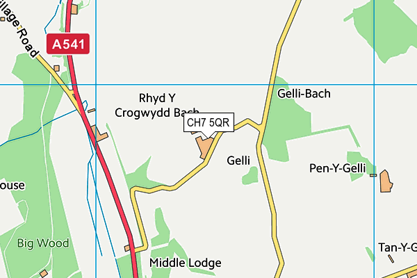 CH7 5QR map - OS VectorMap District (Ordnance Survey) CH7 5QR map - OS VectorMap District (Ordnance Survey)