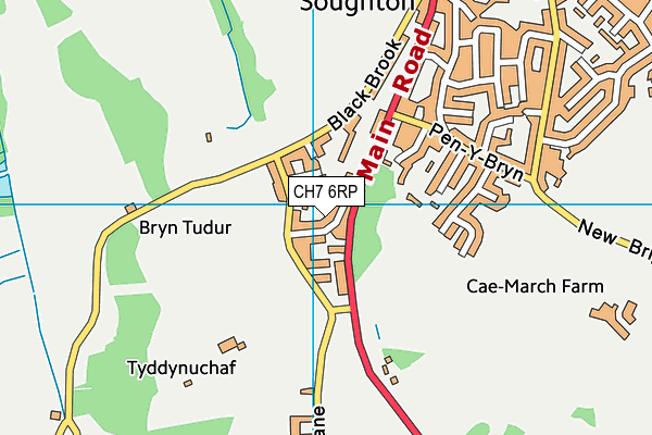 CH7 6RP map - OS VectorMap District (Ordnance Survey) CH7 6RP map - OS VectorMap District (Ordnance Survey)