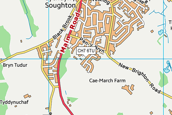 CH7 6TU map - OS VectorMap District (Ordnance Survey) CH7 6TU map - OS VectorMap District (Ordnance Survey)