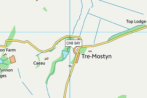 CH8 9AY map - OS VectorMap District (Ordnance Survey) CH8 9AY map - OS VectorMap District (Ordnance Survey)