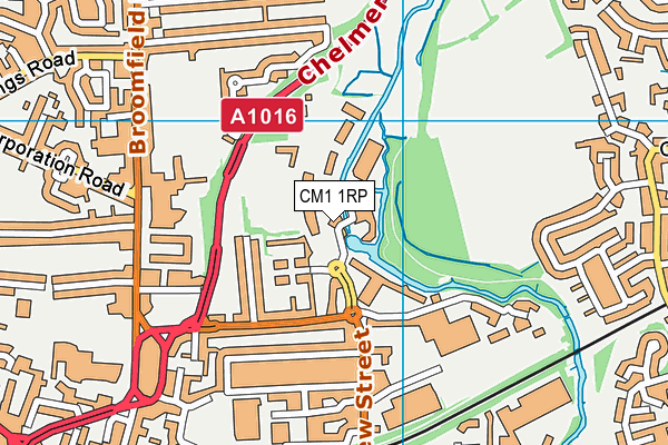 CM1 1RP map - OS VectorMap District (Ordnance Survey) CM1 1RP map - OS VectorMap District (Ordnance Survey)