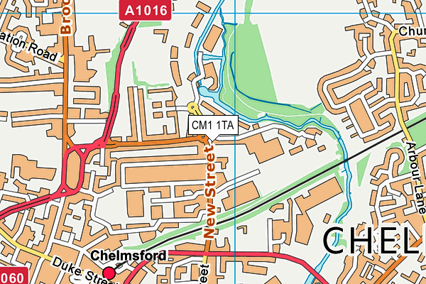 CM1 1TA map - OS VectorMap District (Ordnance Survey) CM1 1TA map - OS VectorMap District (Ordnance Survey)