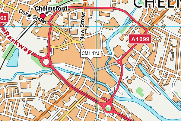 CM1 1YJ map - OS VectorMap District (Ordnance Survey) CM1 1YJ map - OS VectorMap District (Ordnance Survey)