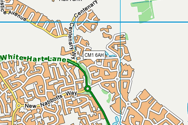 CM1 6AH map - OS VectorMap District (Ordnance Survey) CM1 6AH map - OS VectorMap District (Ordnance Survey)