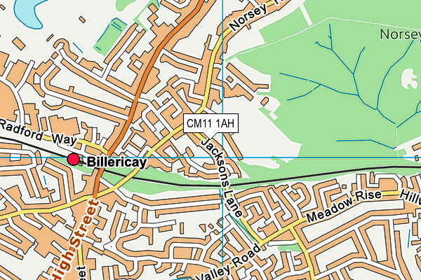 CM11 1AH map - OS VectorMap District (Ordnance Survey) CM11 1AH map - OS VectorMap District (Ordnance Survey)