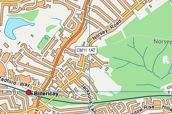 CM11 1AT map - OS VectorMap District (Ordnance Survey) CM11 1AT map - OS VectorMap District (Ordnance Survey)