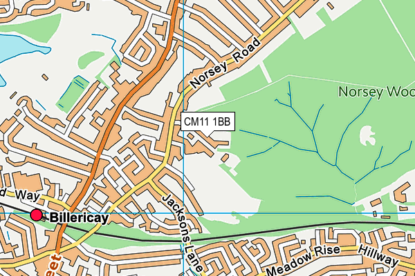 CM11 1BB map - OS VectorMap District (Ordnance Survey) CM11 1BB map - OS VectorMap District (Ordnance Survey)
