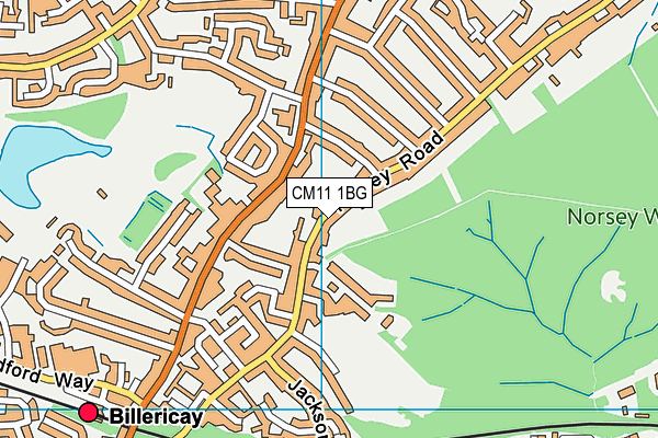 CM11 1BG map - OS VectorMap District (Ordnance Survey) CM11 1BG map - OS VectorMap District (Ordnance Survey)