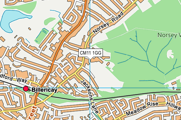 CM11 1GG map - OS VectorMap District (Ordnance Survey) CM11 1GG map - OS VectorMap District (Ordnance Survey)