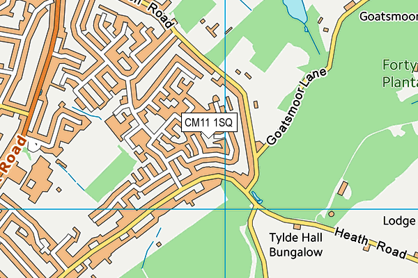 CM11 1SQ map - OS VectorMap District (Ordnance Survey) CM11 1SQ map - OS VectorMap District (Ordnance Survey)