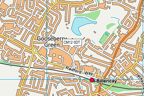 CM12 0DT map - OS VectorMap District (Ordnance Survey)