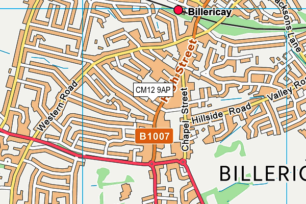 CM12 9AP map - OS VectorMap District (Ordnance Survey) CM12 9AP map - OS VectorMap District (Ordnance Survey)