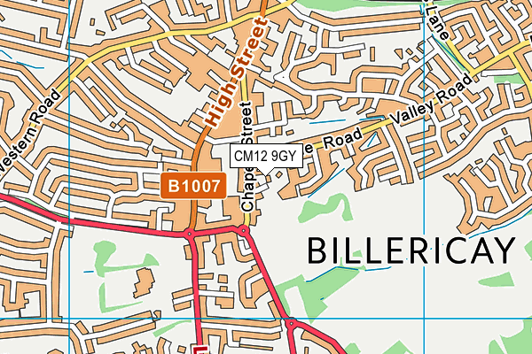 CM12 9GY map - OS VectorMap District (Ordnance Survey) CM12 9GY map - OS VectorMap District (Ordnance Survey)