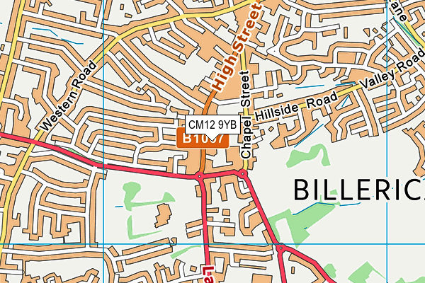 CM12 9YB map - OS VectorMap District (Ordnance Survey) CM12 9YB map - OS VectorMap District (Ordnance Survey)