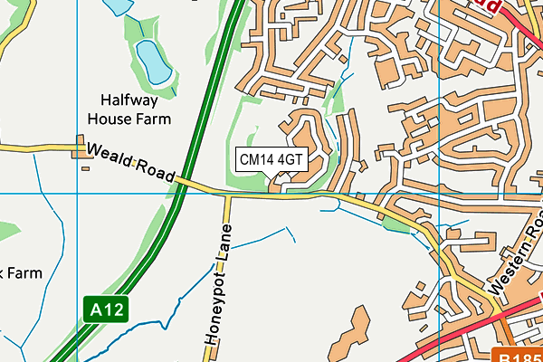 CM14 4GT map - OS VectorMap District (Ordnance Survey) CM14 4GT map - OS VectorMap District (Ordnance Survey)