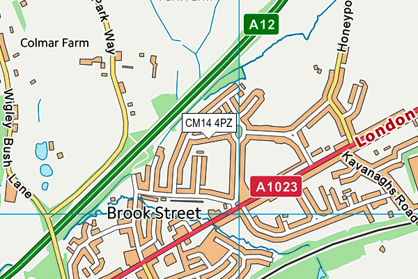 CM14 4PZ map - OS VectorMap District (Ordnance Survey) CM14 4PZ map - OS VectorMap District (Ordnance Survey)