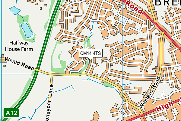 CM14 4TS map - OS VectorMap District (Ordnance Survey) CM14 4TS map - OS VectorMap District (Ordnance Survey)
