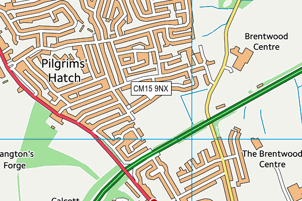 CM15 9NX map - OS VectorMap District (Ordnance Survey) CM15 9NX map - OS VectorMap District (Ordnance Survey)