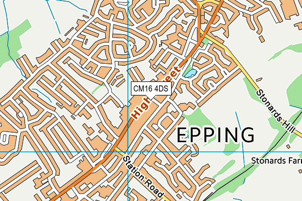 CM16 4DS map - OS VectorMap District (Ordnance Survey) CM16 4DS map - OS VectorMap District (Ordnance Survey)