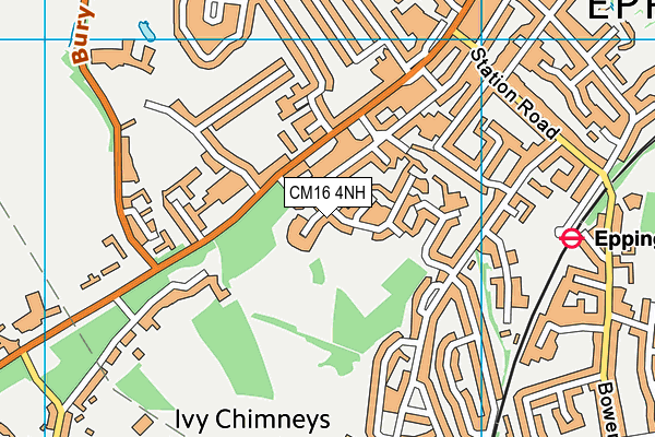 CM16 4NH map - OS VectorMap District (Ordnance Survey) CM16 4NH map - OS VectorMap District (Ordnance Survey)