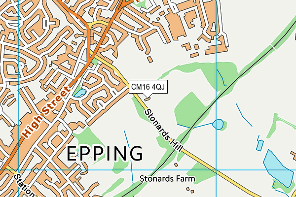 CM16 4QJ map - OS VectorMap District (Ordnance Survey) CM16 4QJ map - OS VectorMap District (Ordnance Survey)