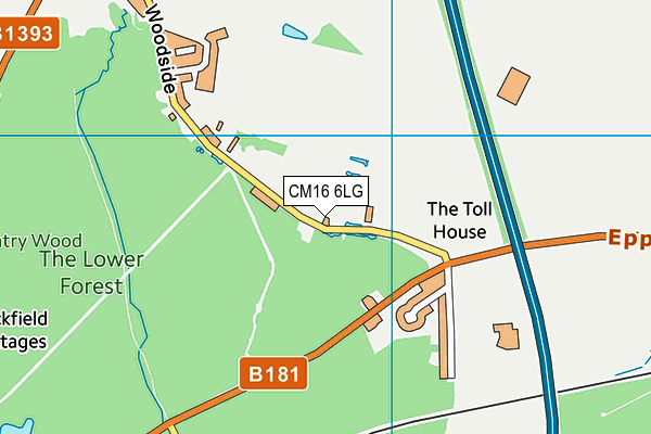 CM16 6LG map - OS VectorMap District (Ordnance Survey) CM16 6LG map - OS VectorMap District (Ordnance Survey)