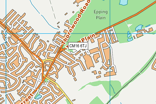 CM16 6TJ map - OS VectorMap District (Ordnance Survey) CM16 6TJ map - OS VectorMap District (Ordnance Survey)