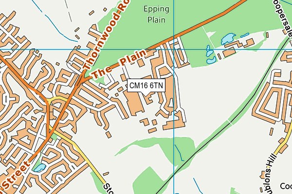 CM16 6TN map - OS VectorMap District (Ordnance Survey) CM16 6TN map - OS VectorMap District (Ordnance Survey)