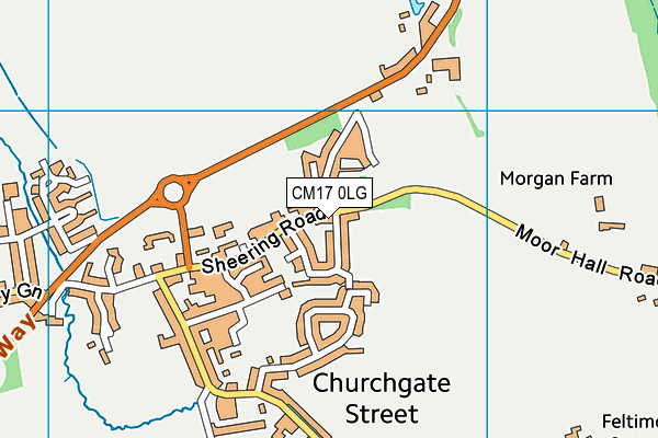 CM17 0LG map - OS VectorMap District (Ordnance Survey) CM17 0LG map - OS VectorMap District (Ordnance Survey)