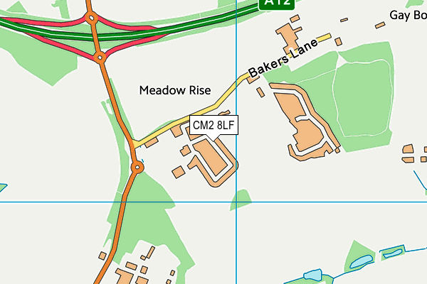 CM2 8LF map - OS VectorMap District (Ordnance Survey) CM2 8LF map - OS VectorMap District (Ordnance Survey)