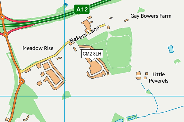 CM2 8LH map - OS VectorMap District (Ordnance Survey) CM2 8LH map - OS VectorMap District (Ordnance Survey)