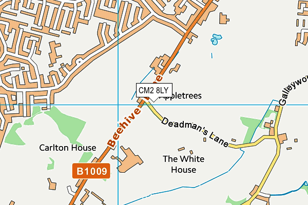 CM2 8LY map - OS VectorMap District (Ordnance Survey) CM2 8LY map - OS VectorMap District (Ordnance Survey)