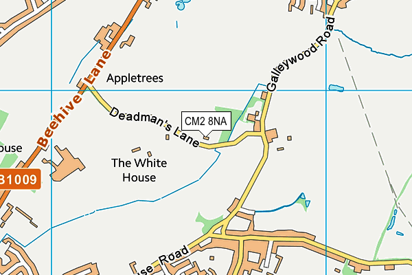 CM2 8NA map - OS VectorMap District (Ordnance Survey) CM2 8NA map - OS VectorMap District (Ordnance Survey)