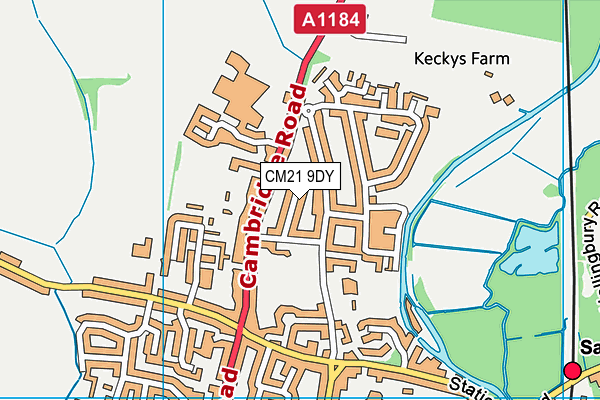 CM21 9DY map - OS VectorMap District (Ordnance Survey) CM21 9DY map - OS VectorMap District (Ordnance Survey)