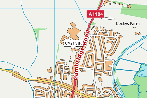 CM21 9JR map - OS VectorMap District (Ordnance Survey) CM21 9JR map - OS VectorMap District (Ordnance Survey)