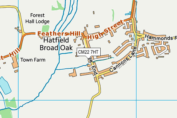 CM22 7HT map - OS VectorMap District (Ordnance Survey) CM22 7HT map - OS VectorMap District (Ordnance Survey)