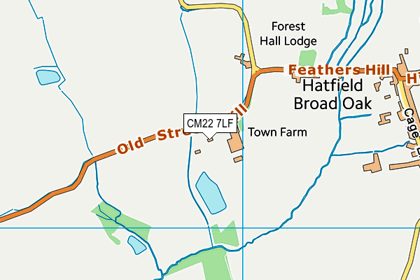 CM22 7LF map - OS VectorMap District (Ordnance Survey) CM22 7LF map - OS VectorMap District (Ordnance Survey)