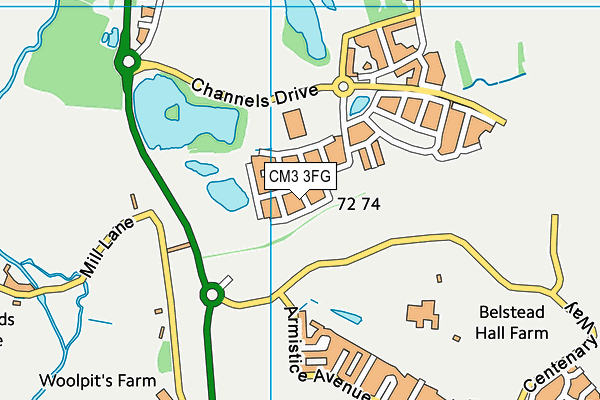 CM3 3FG map - OS VectorMap District (Ordnance Survey) CM3 3FG map - OS VectorMap District (Ordnance Survey)